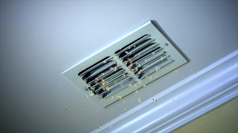  Lake Zurich, IL Airduct Cleaning Pros